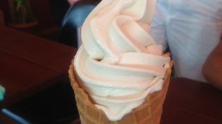 うずしおが見られるサービスエリア