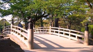 　夏じゃ・・花が・・・