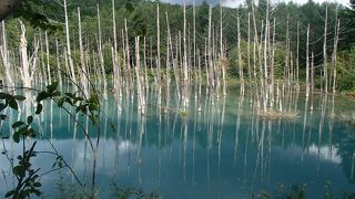 白金の観光地！