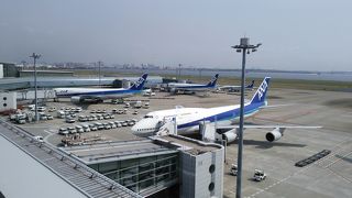 見ているだけでもワクワク