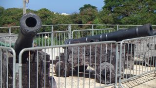 ずっと「アフガン」だと思ってた(´・ω・`)