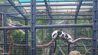 都会の中のオアシス