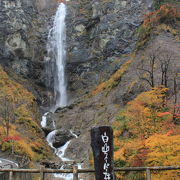 近くで見ると大迫力