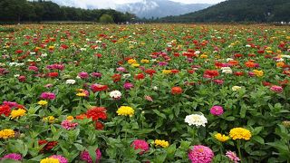 無料エリアで充分、楽しめた♪