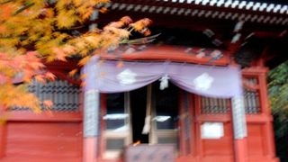 役行者が開いた八犬伝の舞台