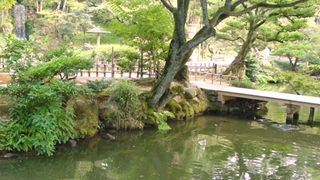 本当かな昔はここから日本海が見えたって