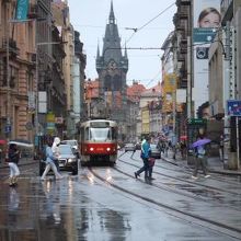 あいにくの雨です