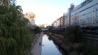 カップルの散歩コース