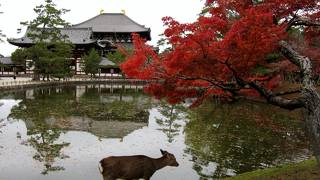鏡池と紅葉の東大寺も良い