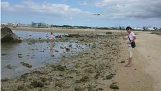 飛行機好きにはたまらない