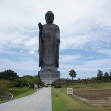 この距離でもこの大きさ