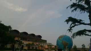 ショーも充実！ディズニーシー！