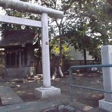 道路より一段高く