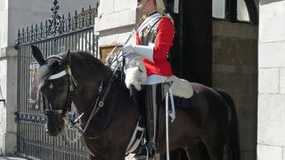 運良く、騎馬隊の交代式を見ることができました