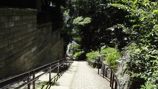 緑の多い趣ある小道です。