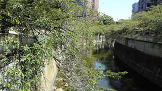 桜の季節は大変賑わっています