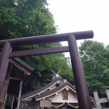 この写真は2012年7月です