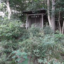 将監稲荷社　草むらの中に狭い石段あり