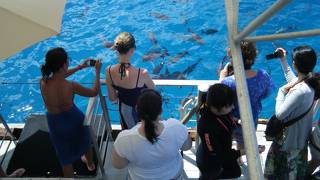 ポントゥーンは最高！ただし、帰りの船は風邪ひかないよう注意！