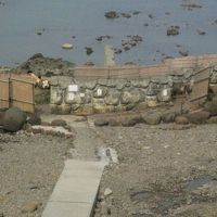 望遠で見るとこんなです。近くでは撮影禁止。