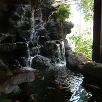 ロビーには鯉が泳いでいました