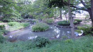 都会の中にある回遊式公園