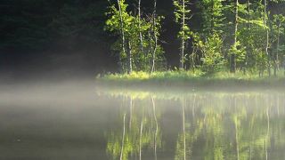 荘厳な雰囲気を漂わせる明神池
