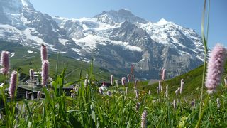 初心者コースで最高の景色！