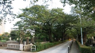 都内一等地墓地