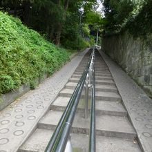 トレーニングにいいかも