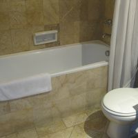 私はきれいに感じましたけど、皆さんはどうでしょう？