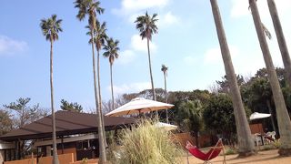 熱海港から20分で熱帯！