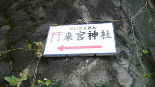 樹齢2000年の楠木