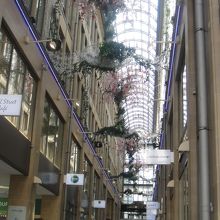 ライジーファーを目標に探しましょう