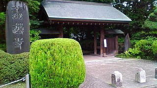 歴史ある桜門、木立多く散策にいいお寺