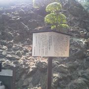 品川にも富士山が！？