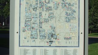 広くて　一つの街のよう