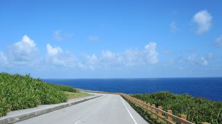 緑と海に飛び込んでいくような道