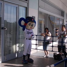 運が良ければ、ドアラにも会えます（笑）