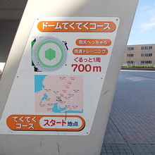 野球がない時でもこんなウォーキングの楽しみ方も？