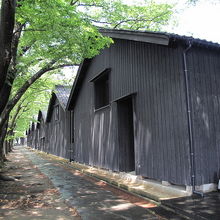 自然と調和した山居倉庫の風景