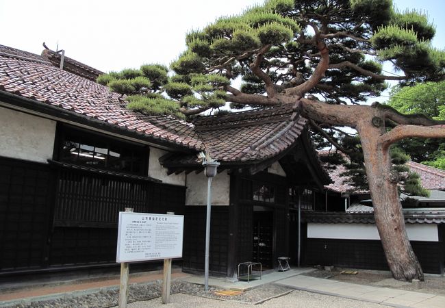 見事な松が配された本間家の玄関