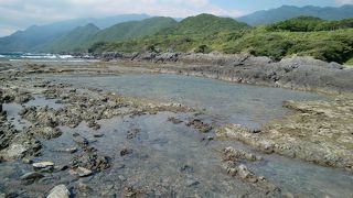 小さな魚がたくさん見ることができます