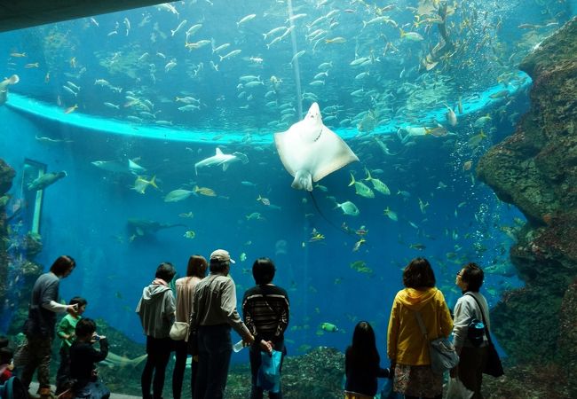 水族館