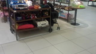 ペットの服がありました。