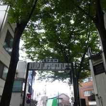 並木道は短いです