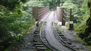 自然て素晴らしい