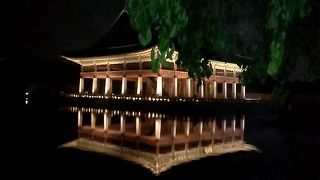 夜間開場とても素敵です。