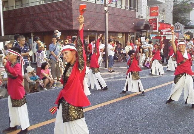 地元主体の元気な踊りが「調布よさこい」