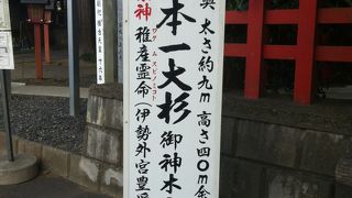 東日本一大きな杉がある